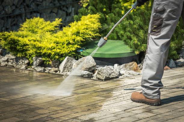 Best Dumpster Area Cleaning  in Neptune City, NJ